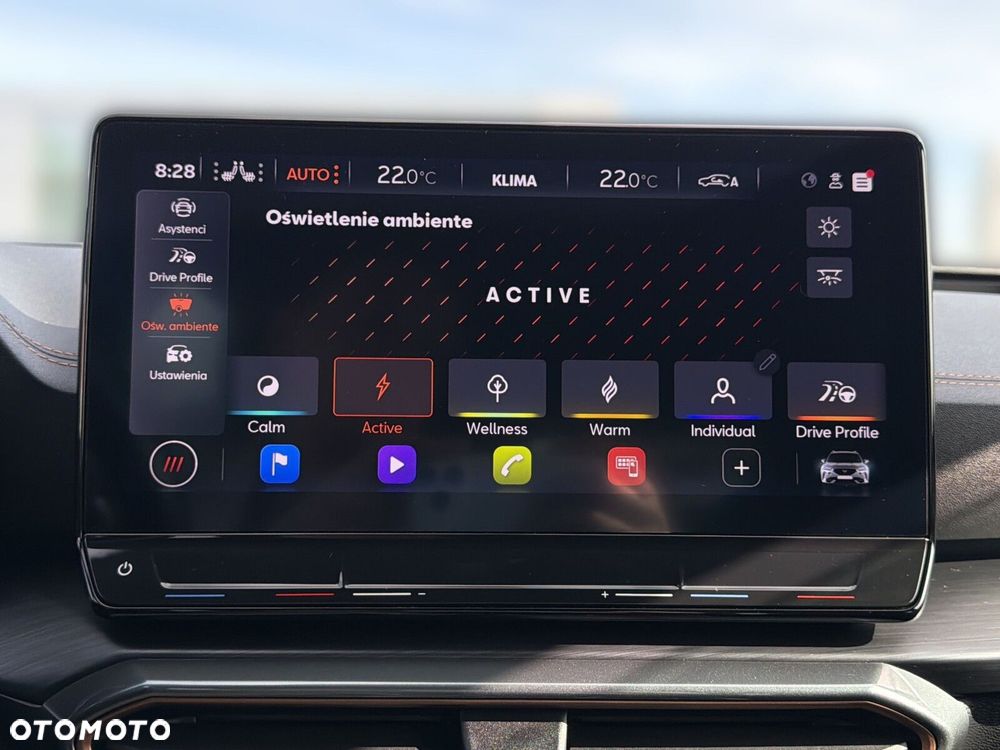 Cupra Formentor 1.5 TSI DSG - 31