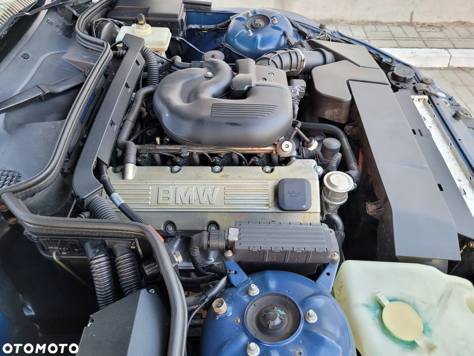 BMW Z3 1.8 - 20