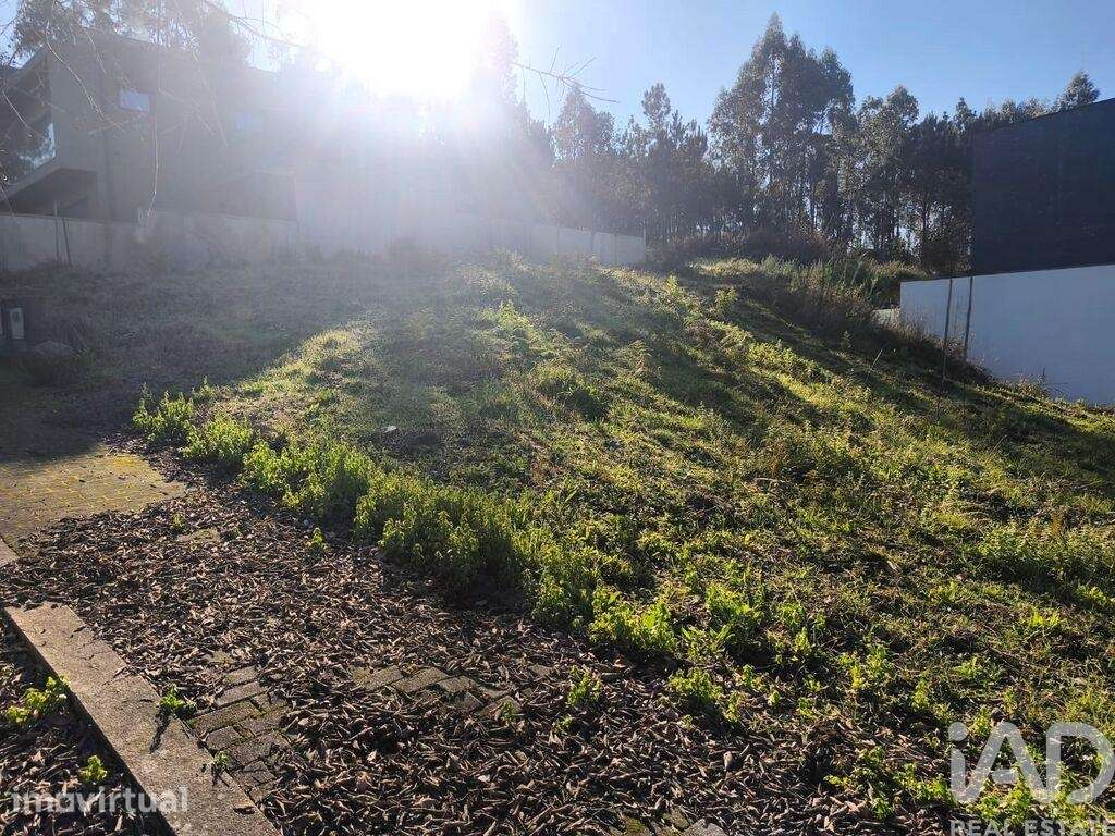 Terreno para construção em Forjães - Grande imagem: 2/9