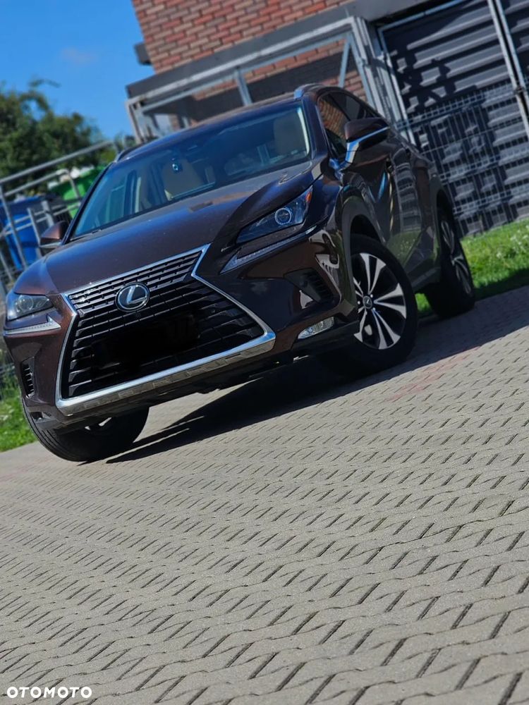 Lexus NX 300 Elegance Optimum AWD - 1