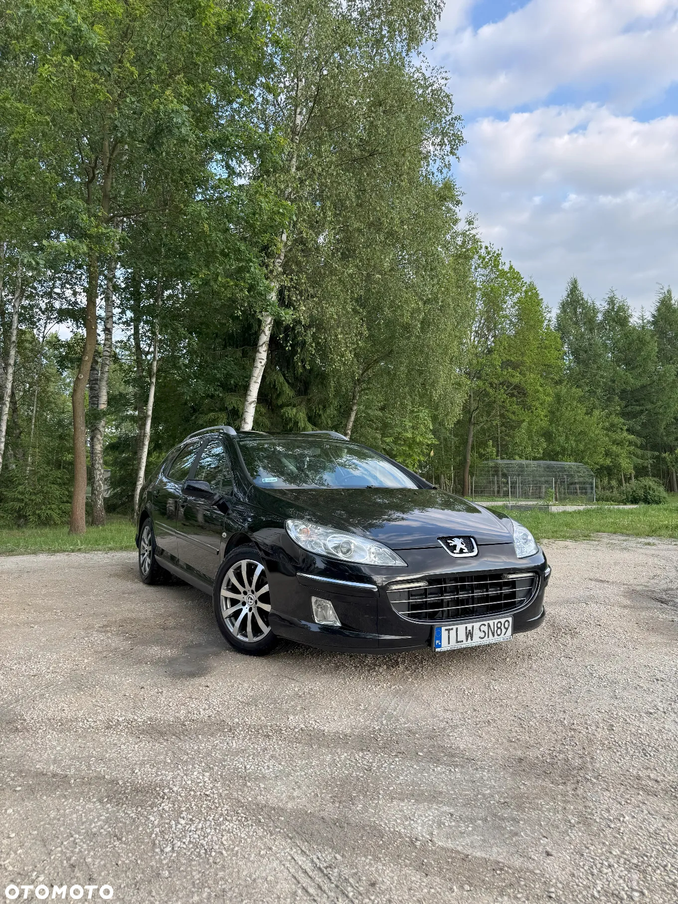 Peugeot 407 1.6 HDi Premium - 2