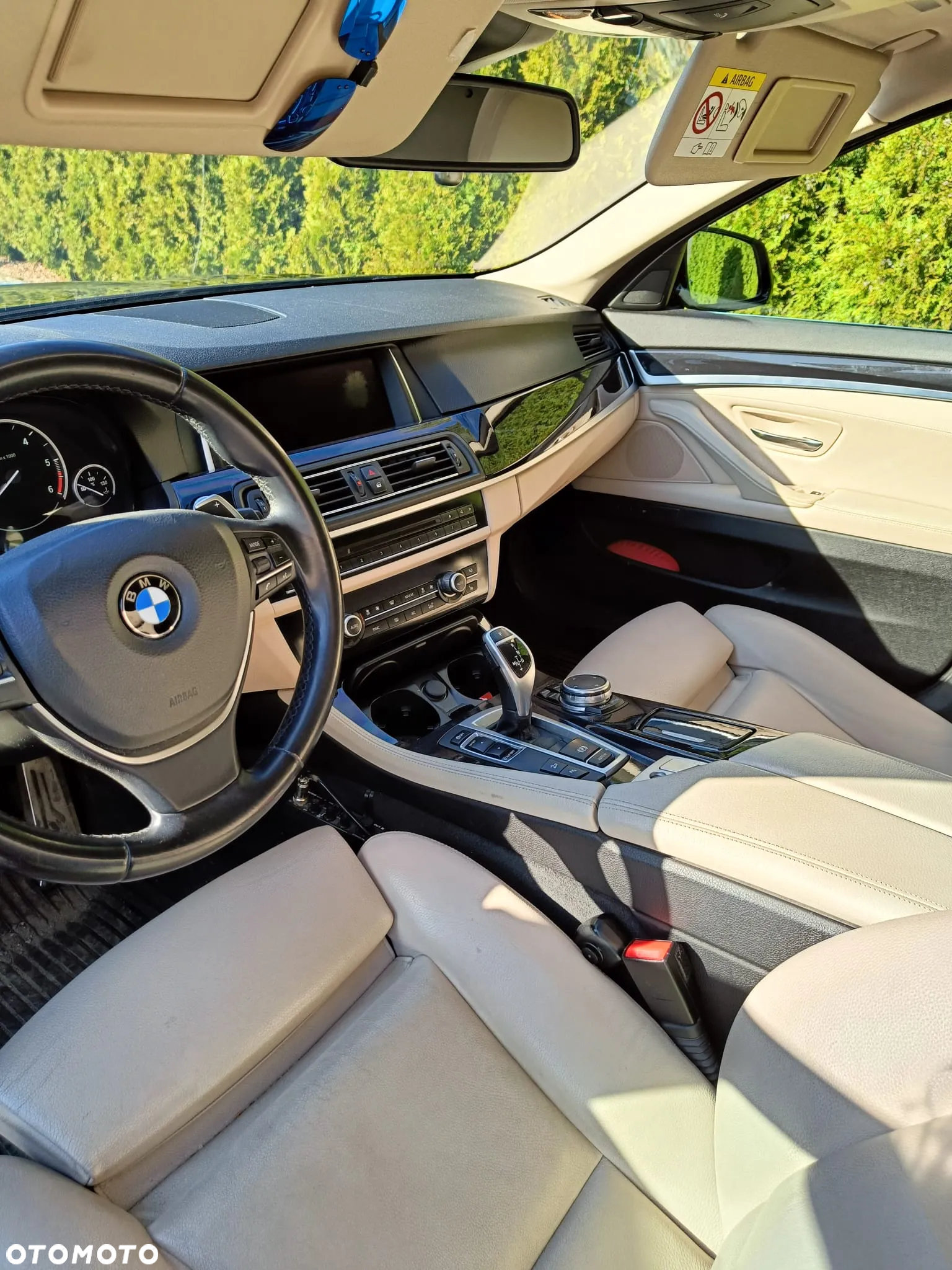 BMW Seria 5 530d xDrive Luxury Line - 8