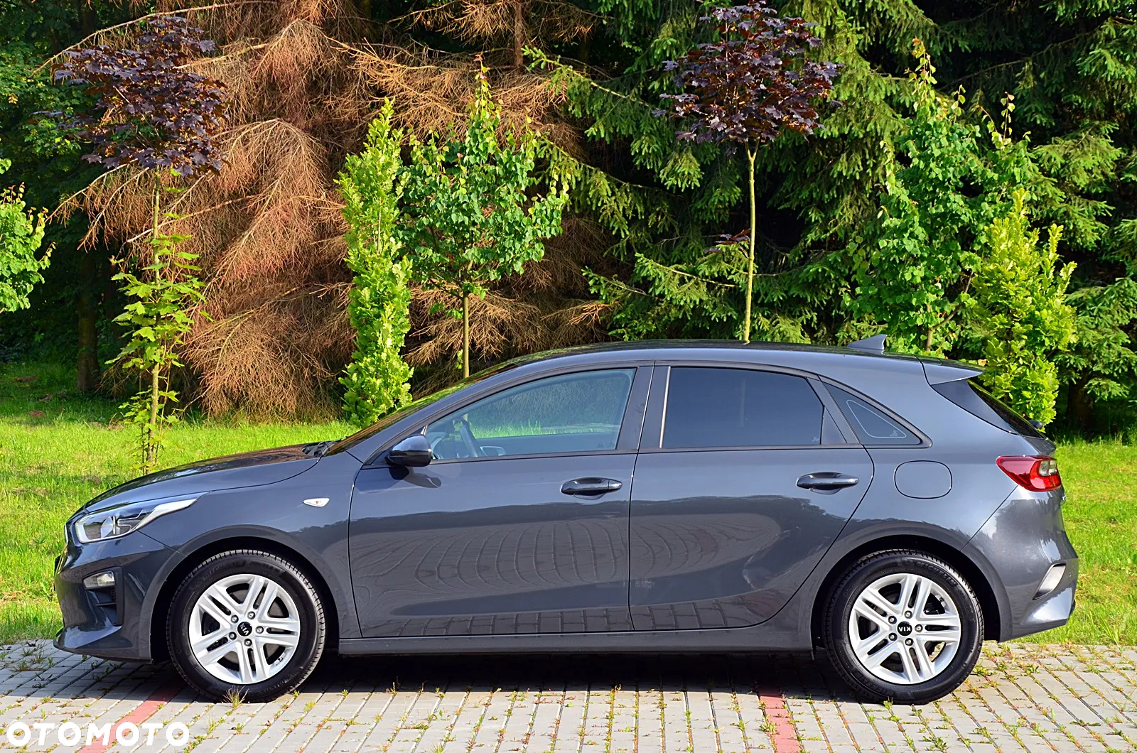 Kia Ceed - 9