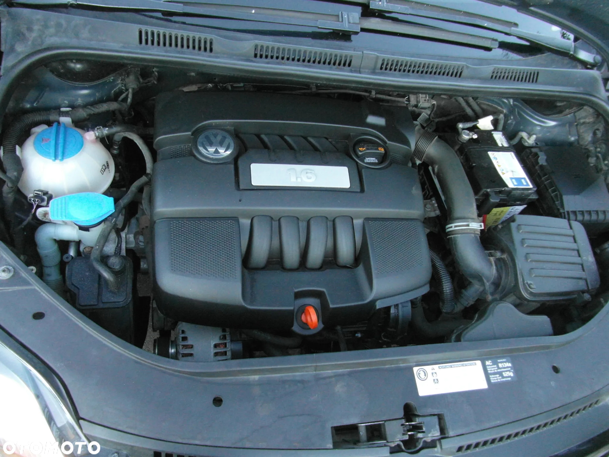 Volkswagen Golf Plus 1.6 Trendline - 40