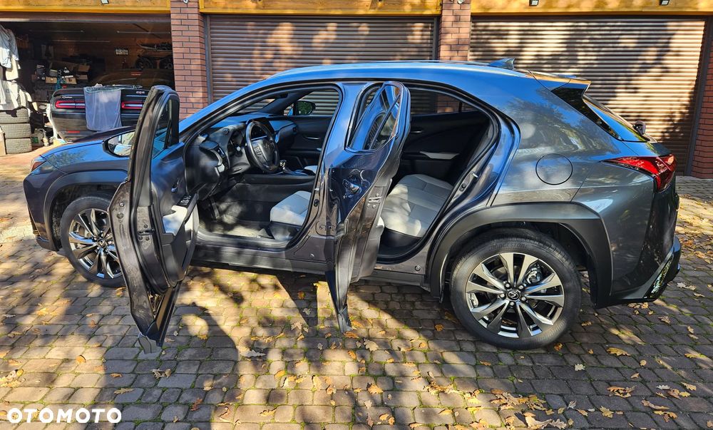 Lexus UX 250h GPF F Sport Design 2WD - 14