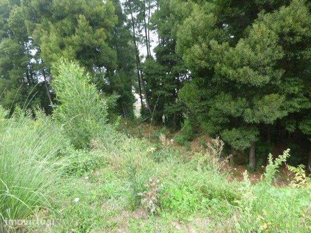Terreno Monte da Vigem para construção - Grande imagem: 2/5