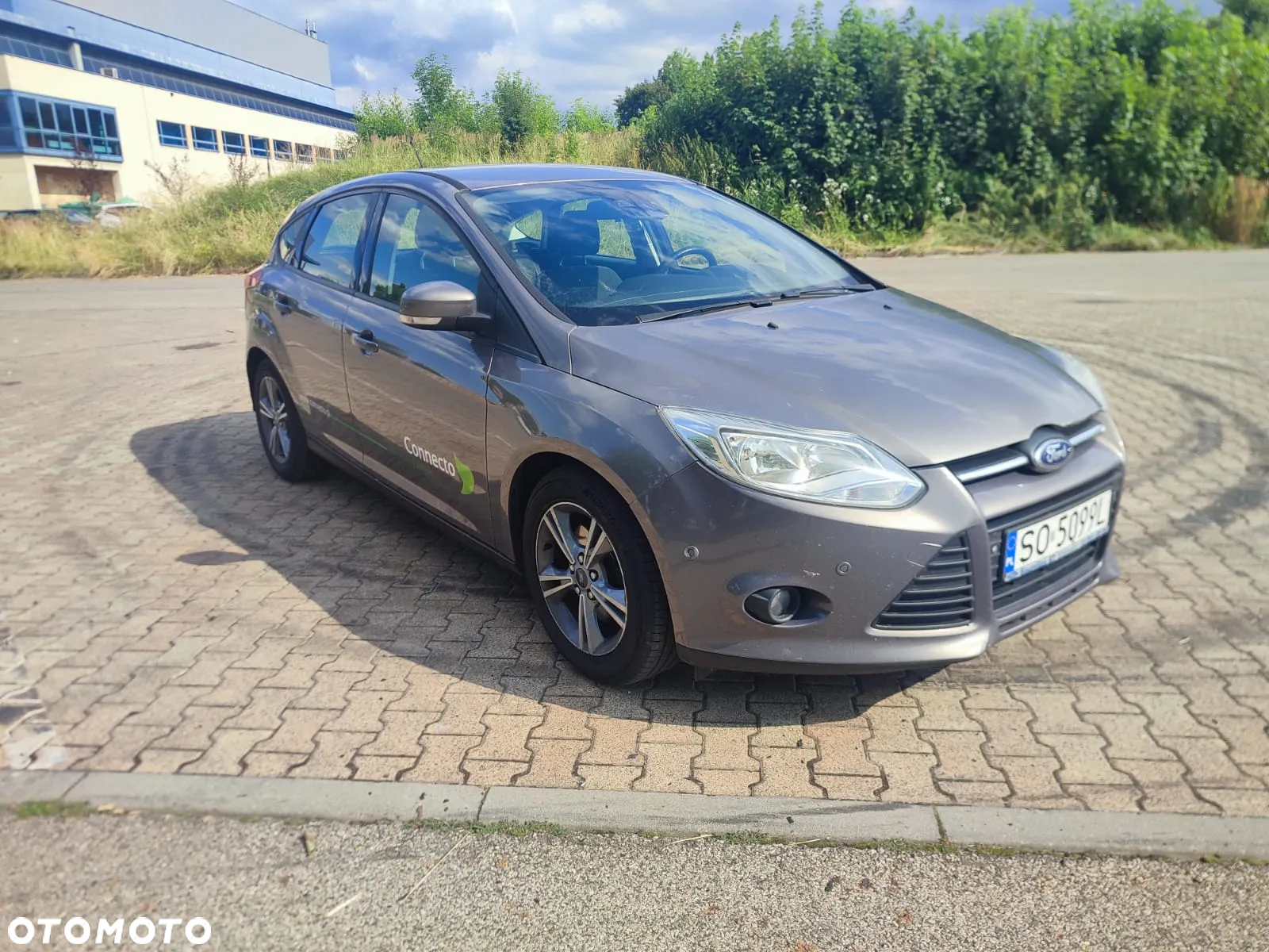 Ford Focus - 17