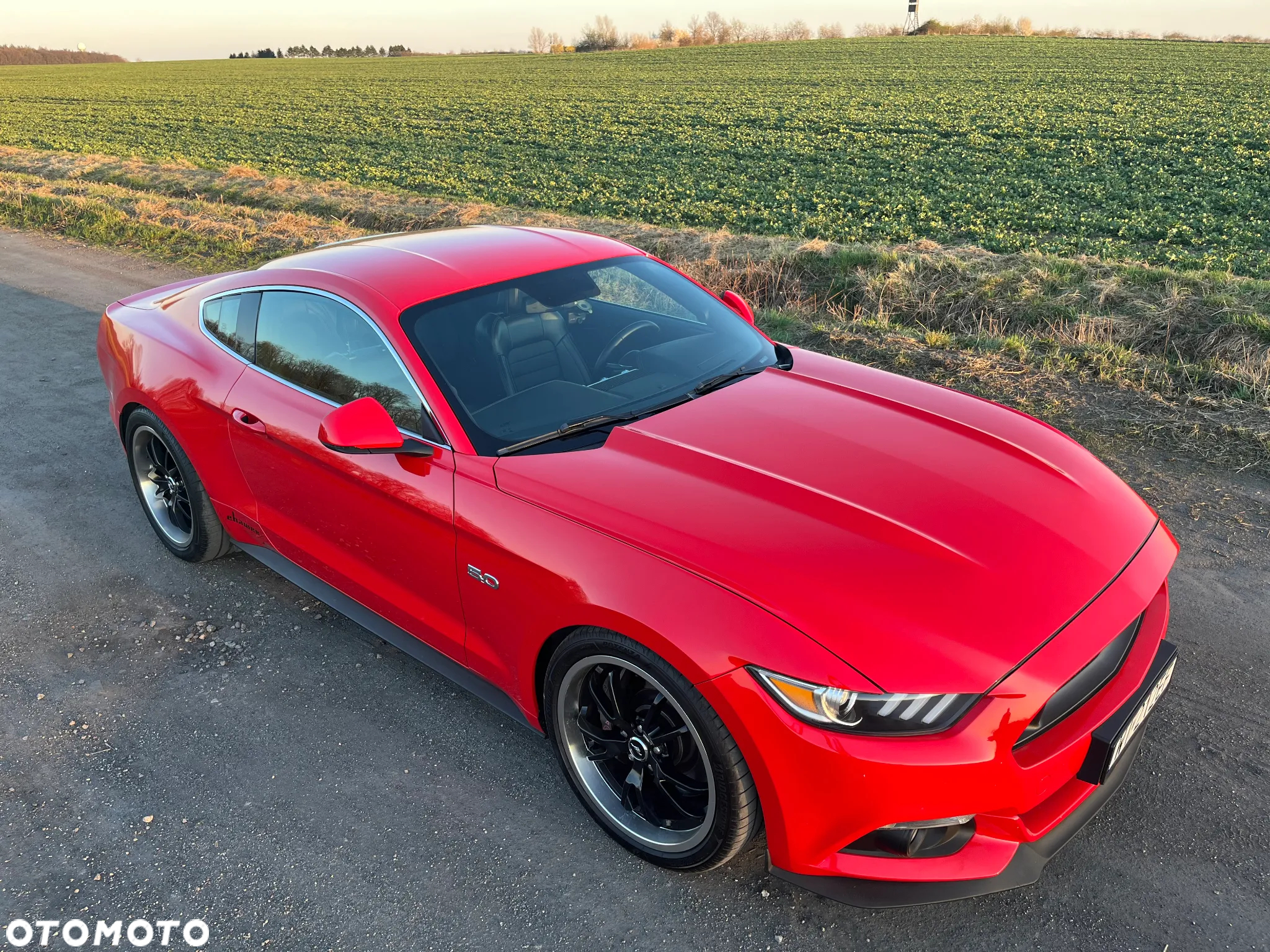 Ford Mustang 5.0 V8 GT - 12