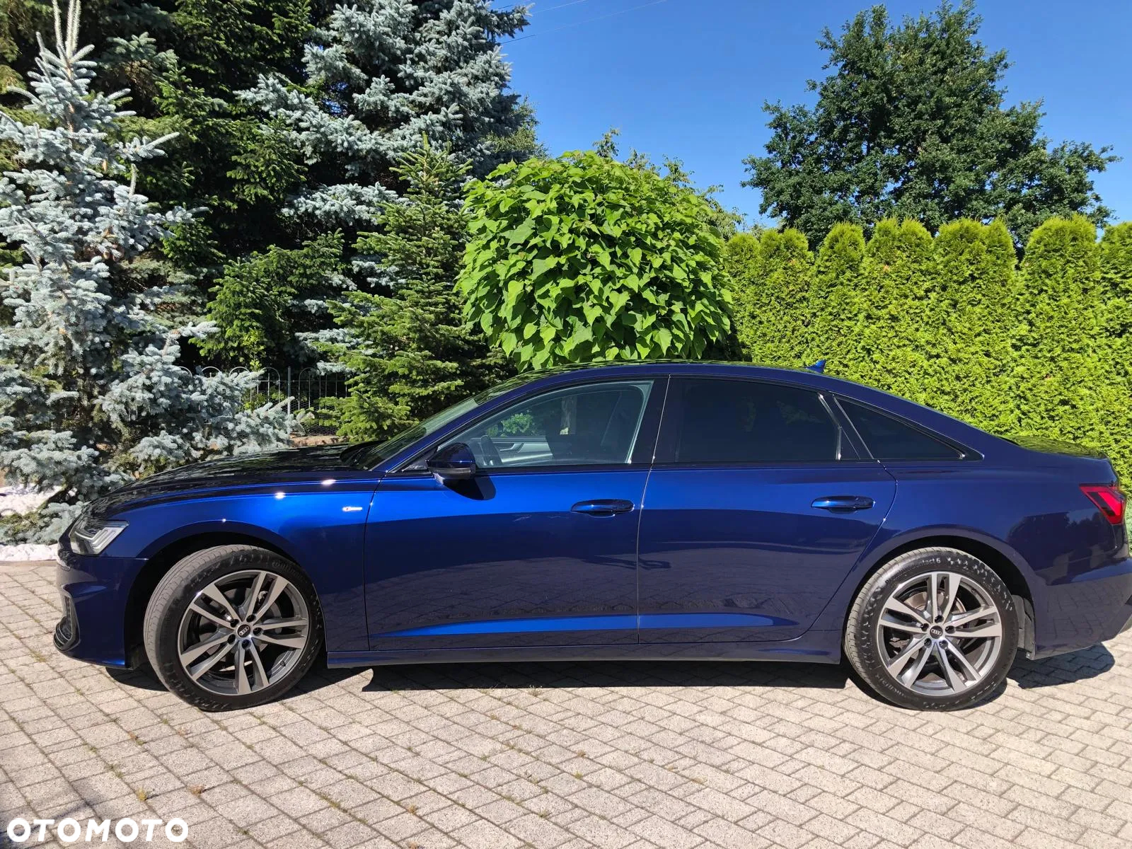 Audi A6 - 5