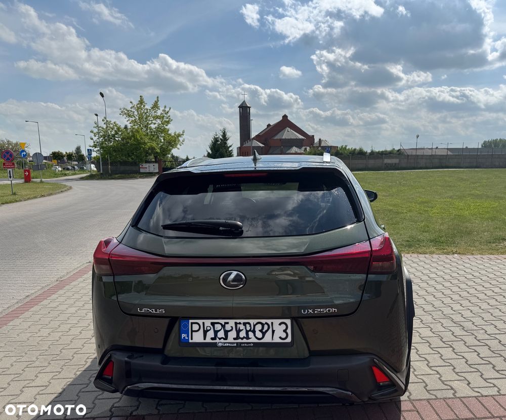 Lexus UX 250h F Sport 2WD - 5