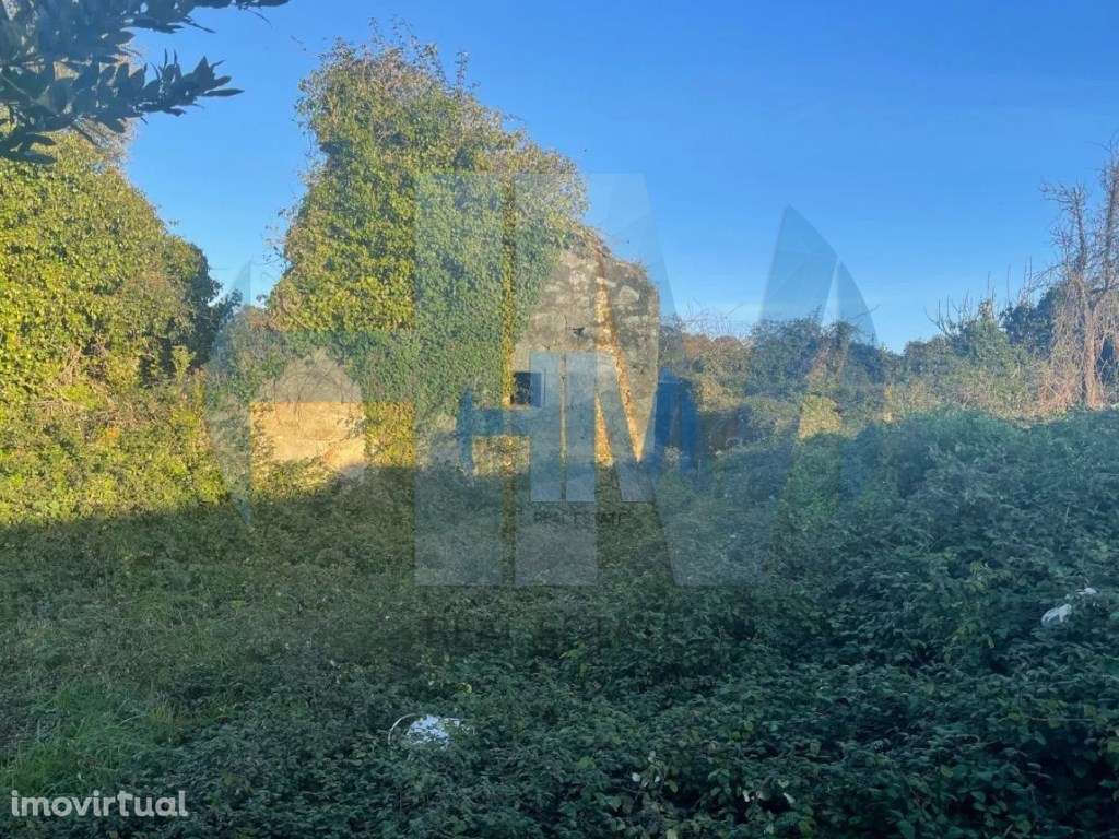 Terreno Venda Maia - Grande imagem: 3/7