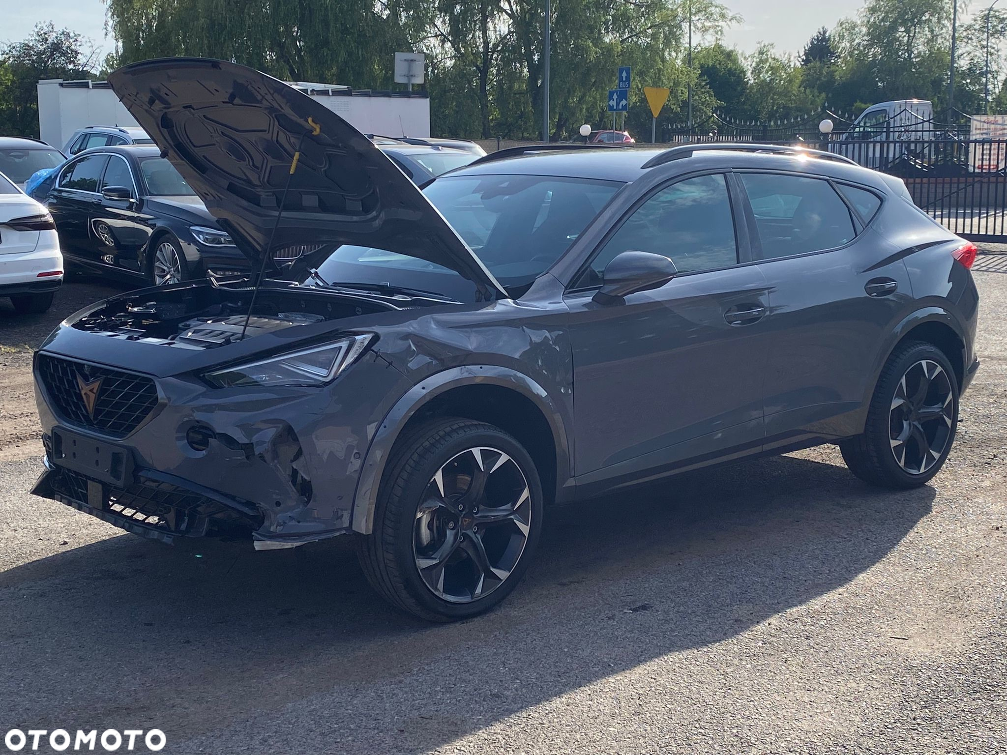 Cupra Formentor 2.0 TSI 4Drive DSG - 8
