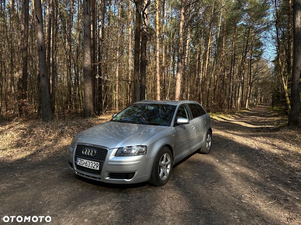 Audi A3 Sportback 1.9 TDI DPF Ambiente - 2