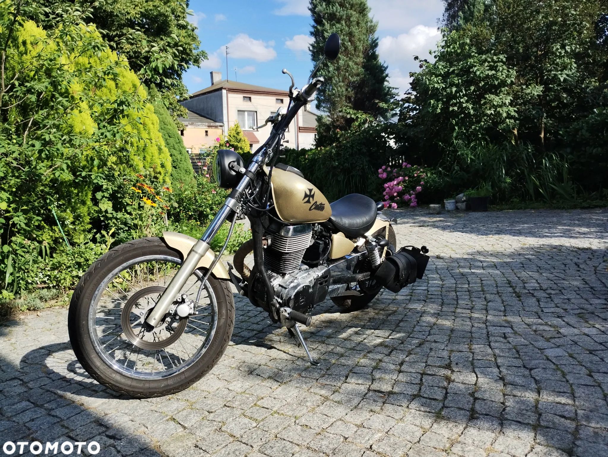 Suzuki Savage - 1