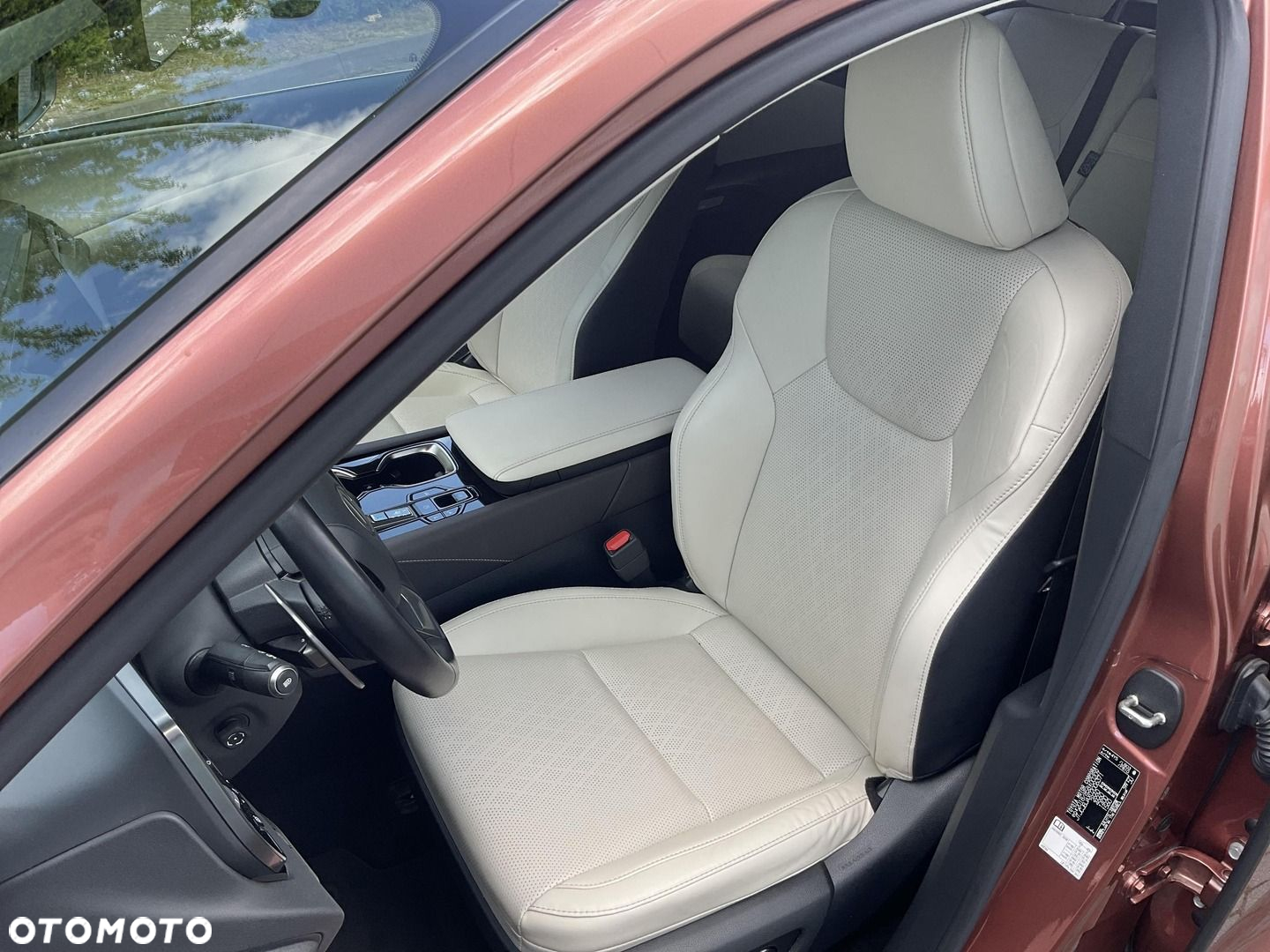 Lexus RX - 13