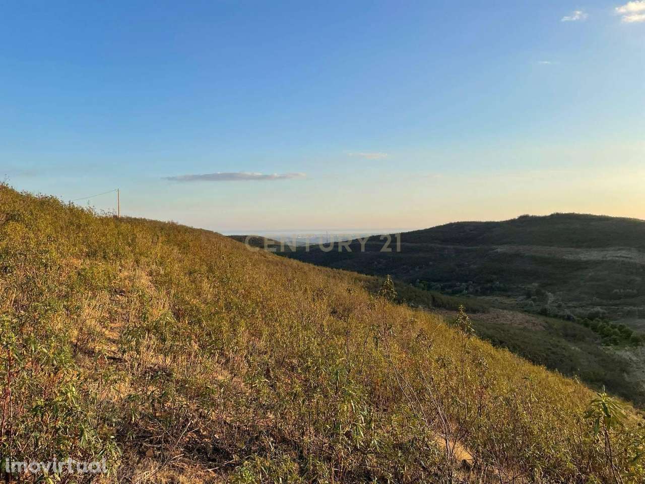 Terreno Urbano em Tavira - com possibilidade de investimento - Grande imagem: 2/6