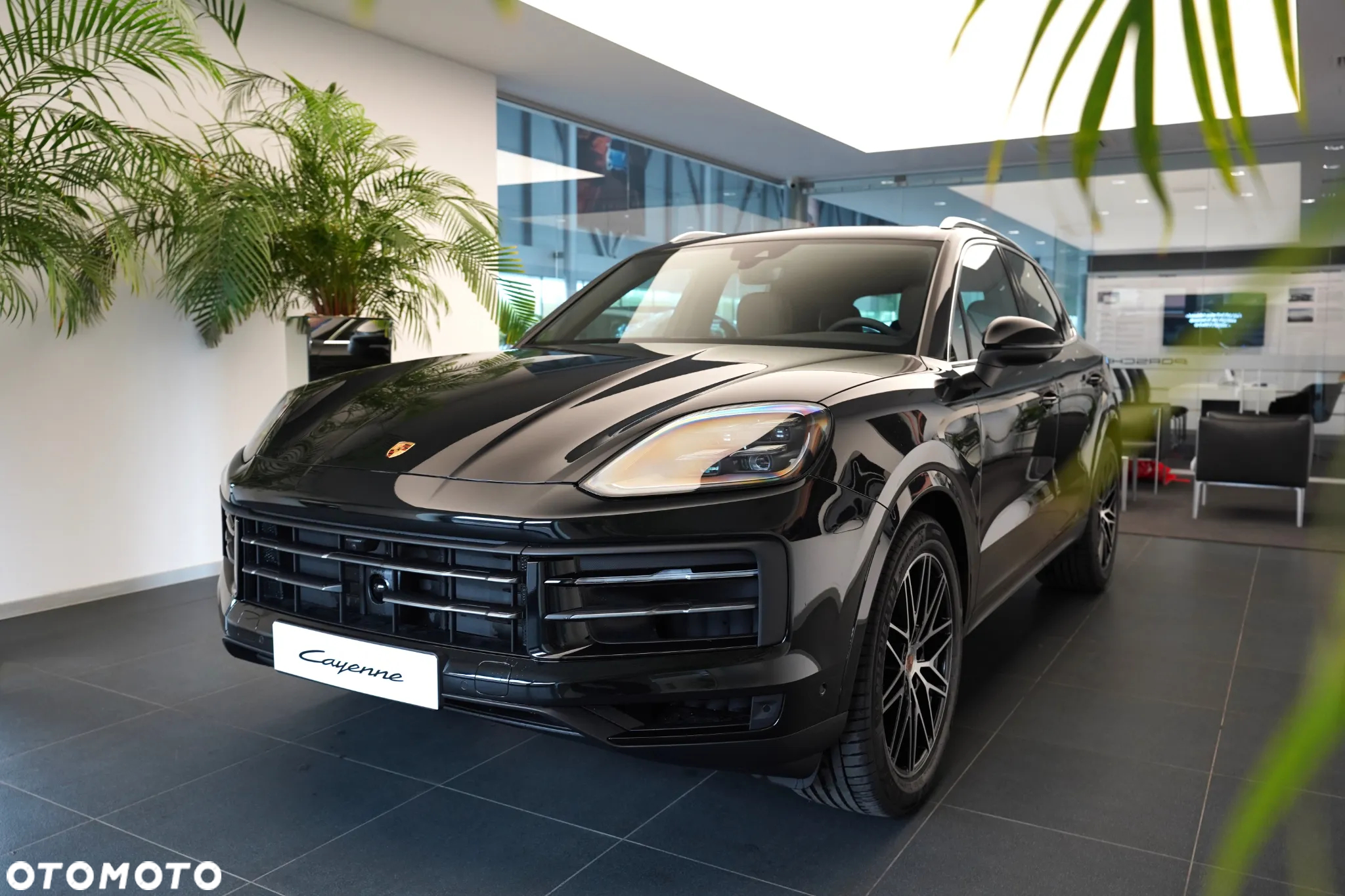 Porsche Cayenne Standard - 6