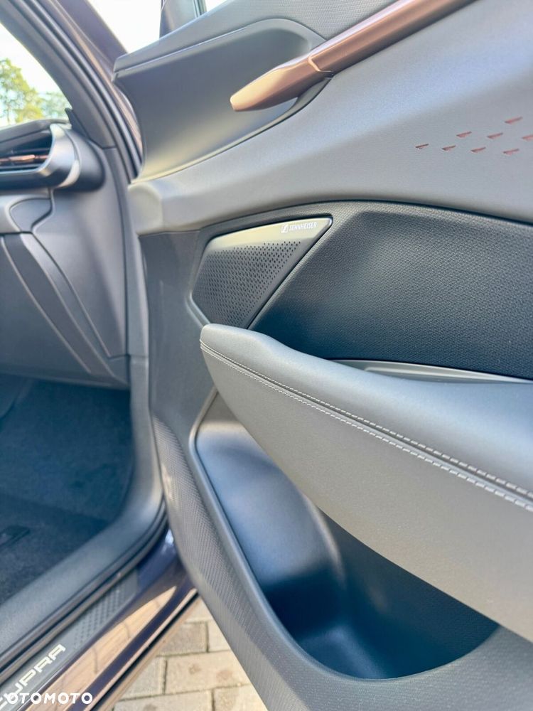 Cupra Terramar 2.0 TSI 4Drive VZ DSG - 28