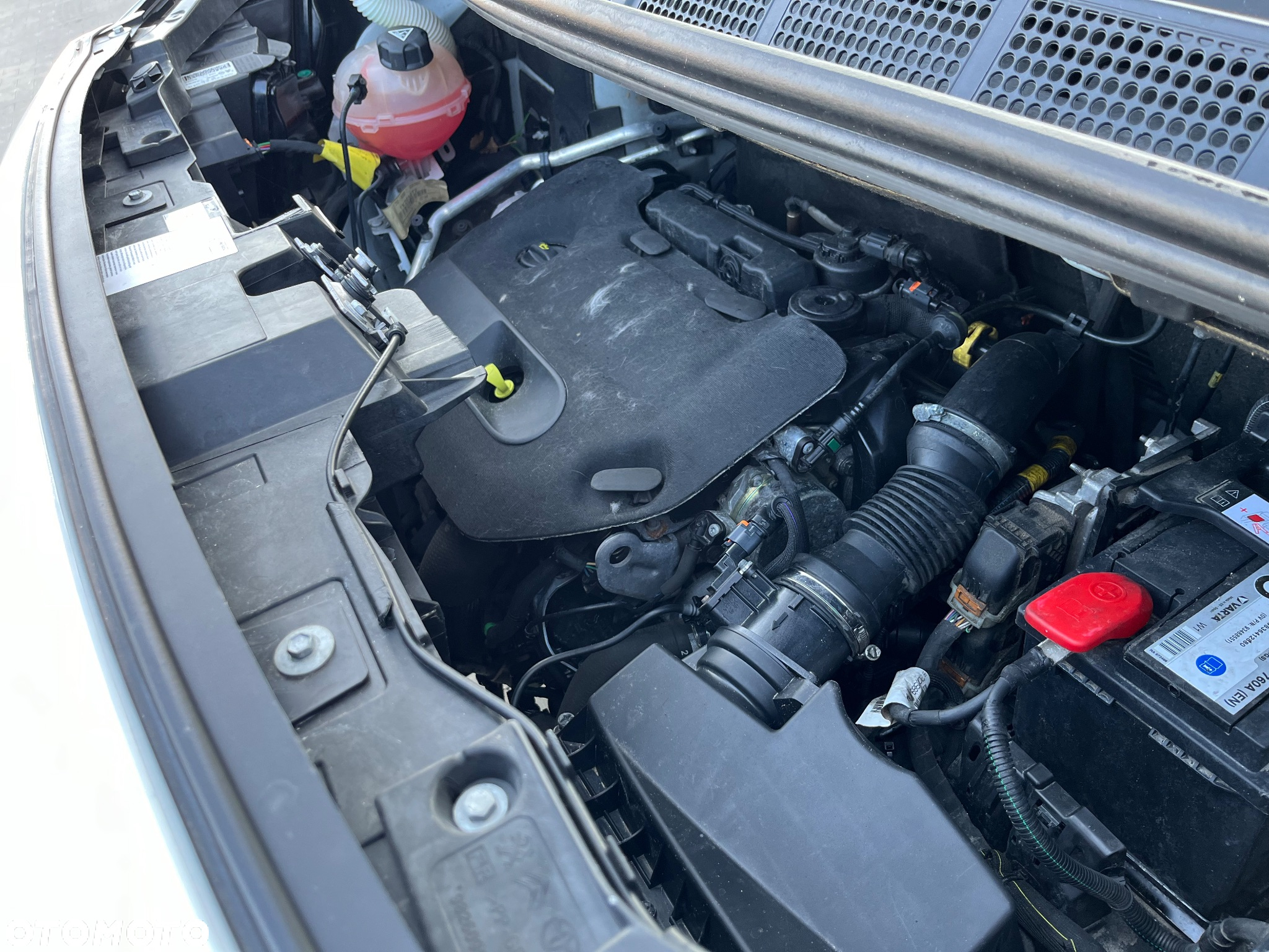 Citroën JUMPY PROACE EXPERT SCUDO - 21