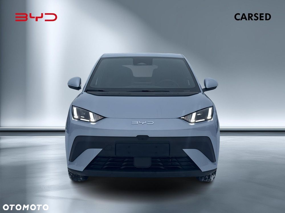 BYD Dolphin Surf - 9