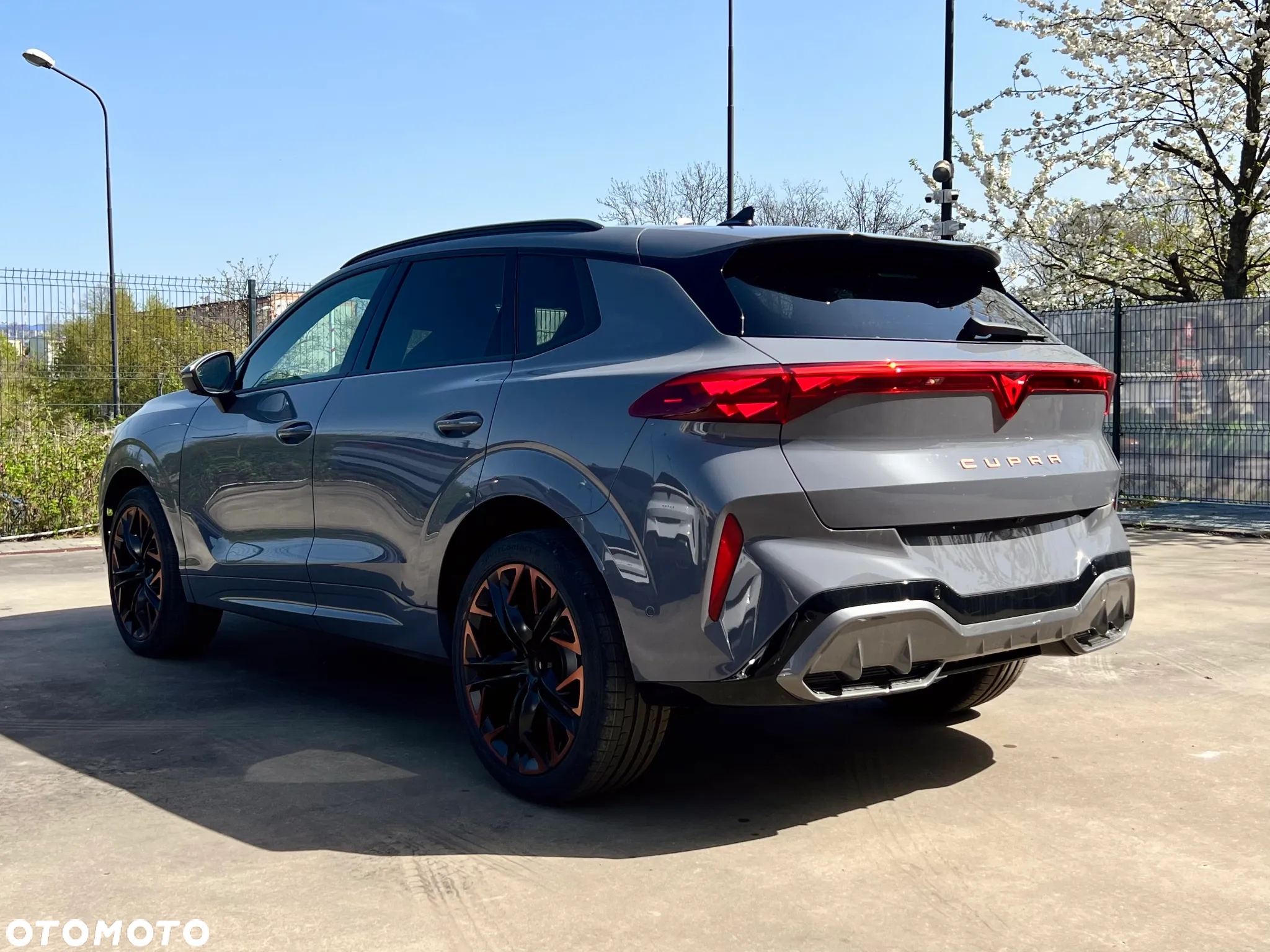 Cupra Terramar 2.0 TSI 4Drive DSG - 5