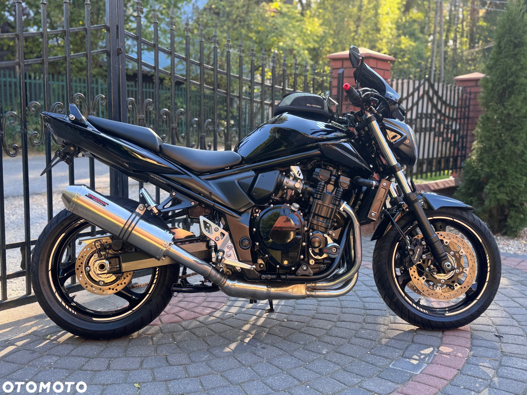 Suzuki Bandit - 3