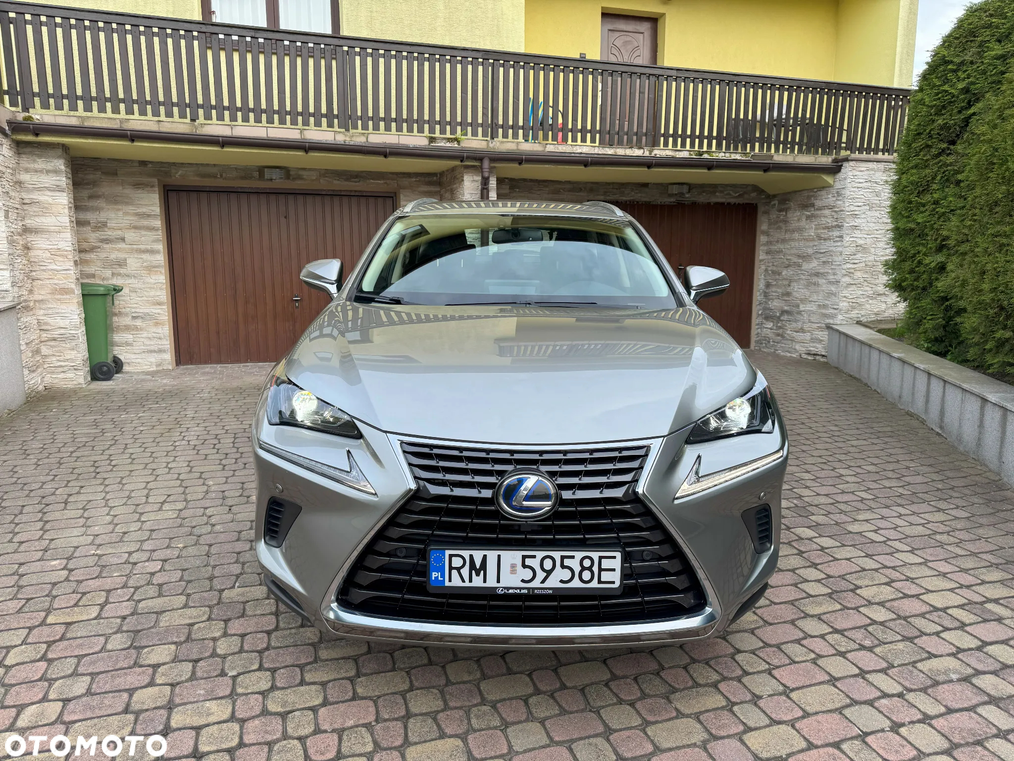 Lexus NX - 2