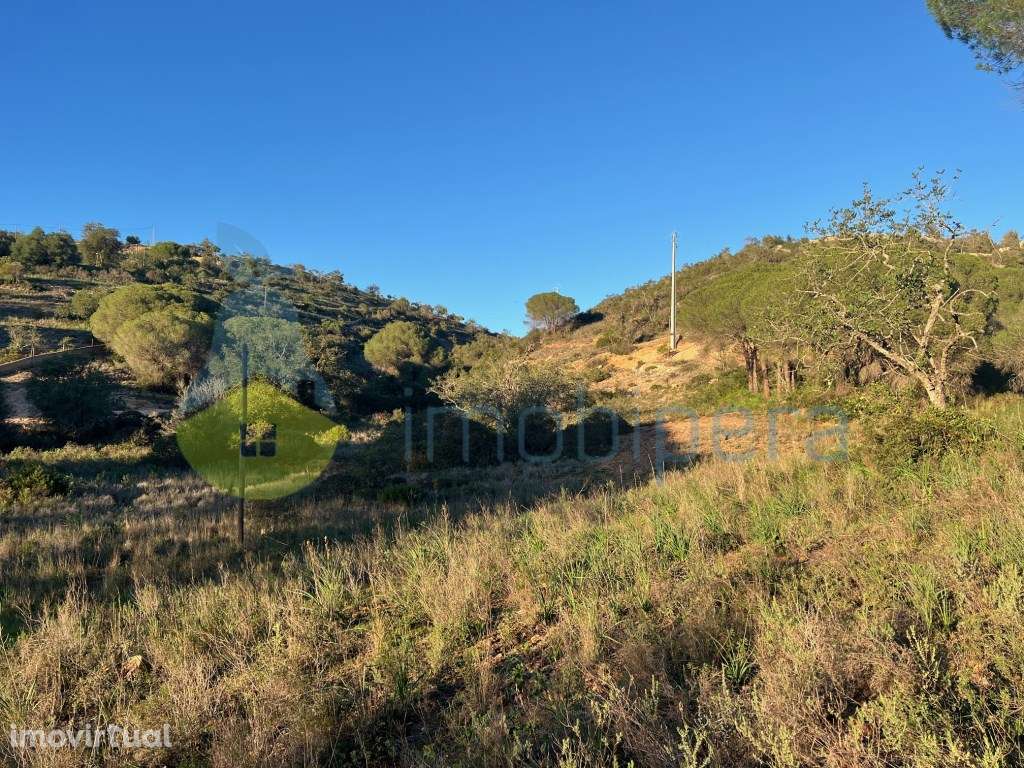 TERRENO VISTA FABULOSA A SUL - 5.240(m2) A 1KM DE TUNES GARE - Grande imagem: 4/33