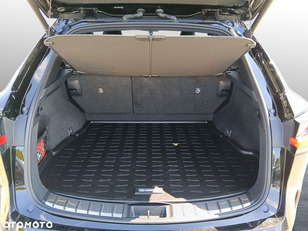 Lexus NX 350h F Sport AWD - 17