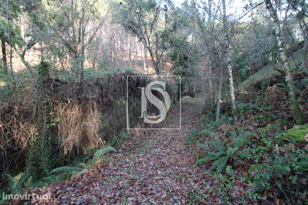 Terreno  Venda em Rebordelo,Amarante - Grande imagem: 4/4