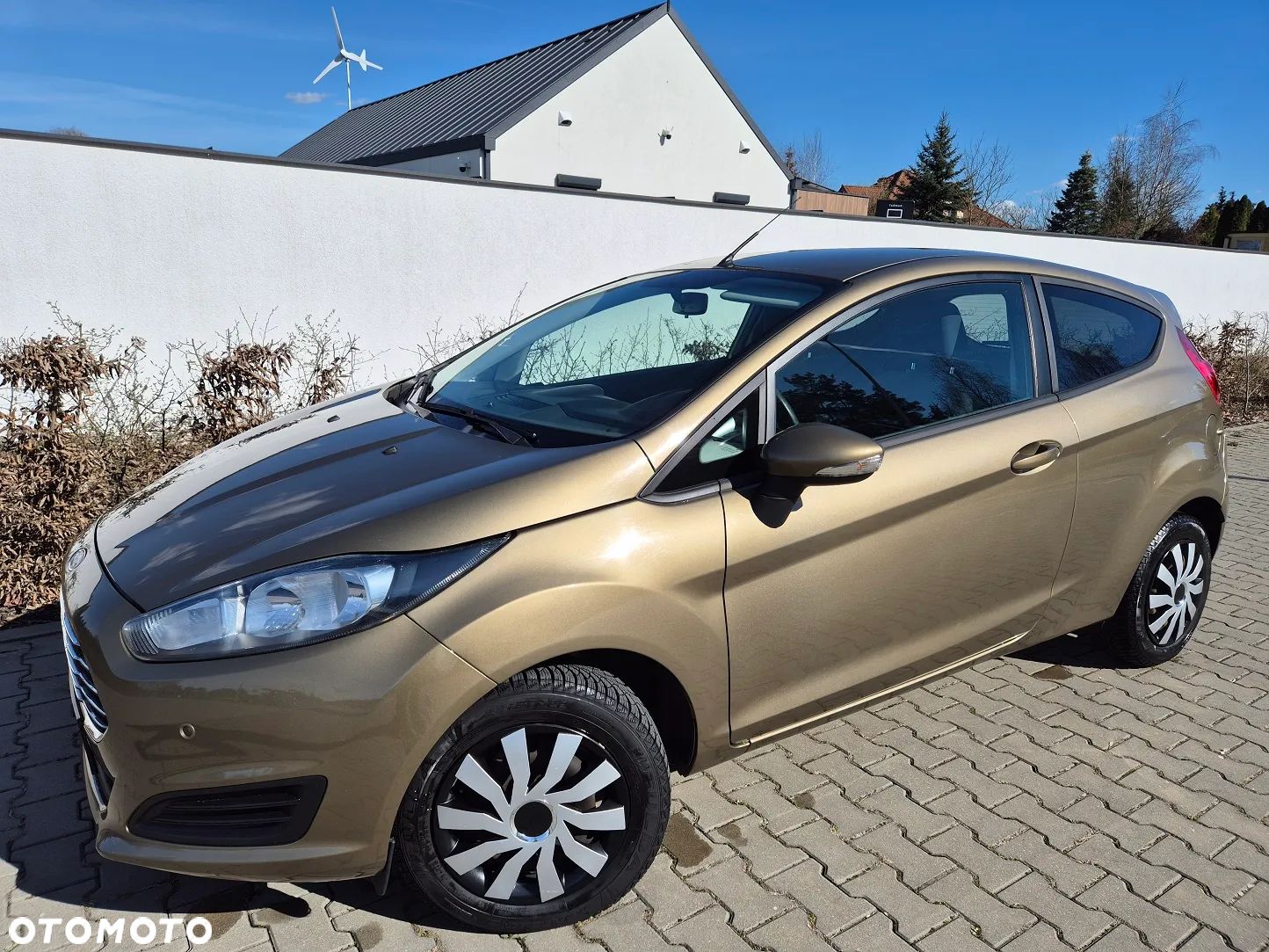 Ford Fiesta - 1