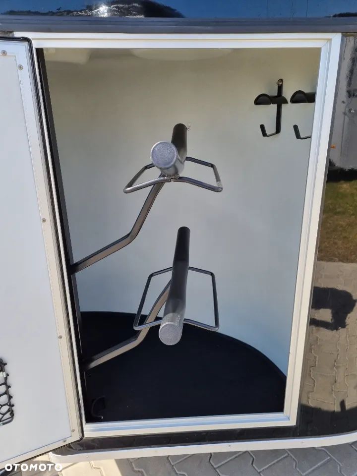 Cheval Liberte Gold 3 - 18