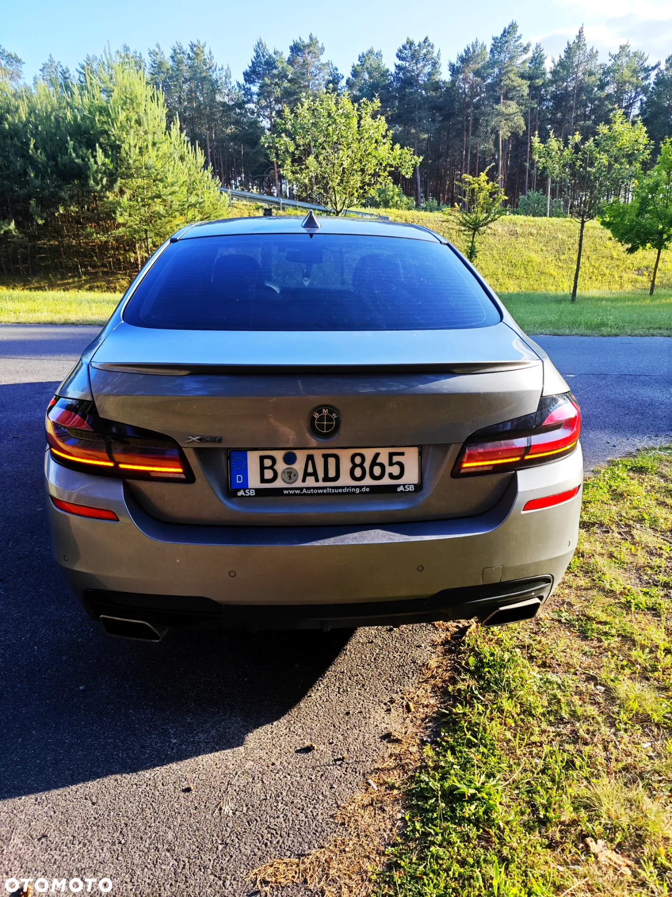 BMW Seria 5 530d xDrive - 11
