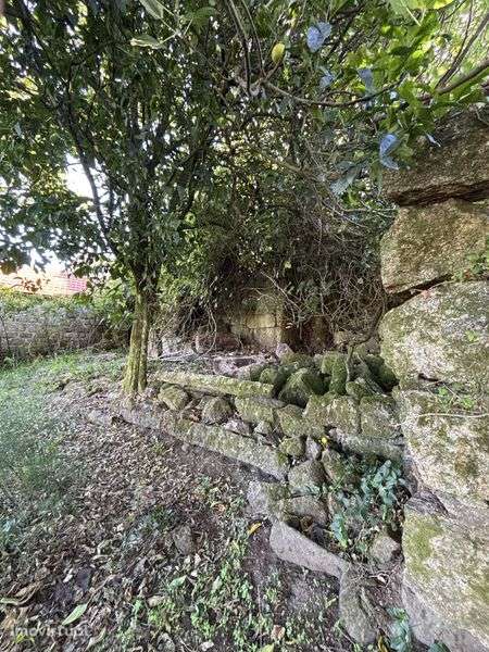 Duas Moradias para reabilitar - Canelas, Penafiel - Grande imagem: 5/8