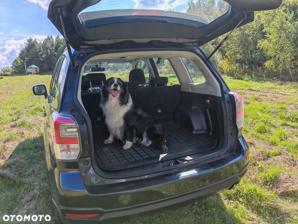 Subaru Forester - 8