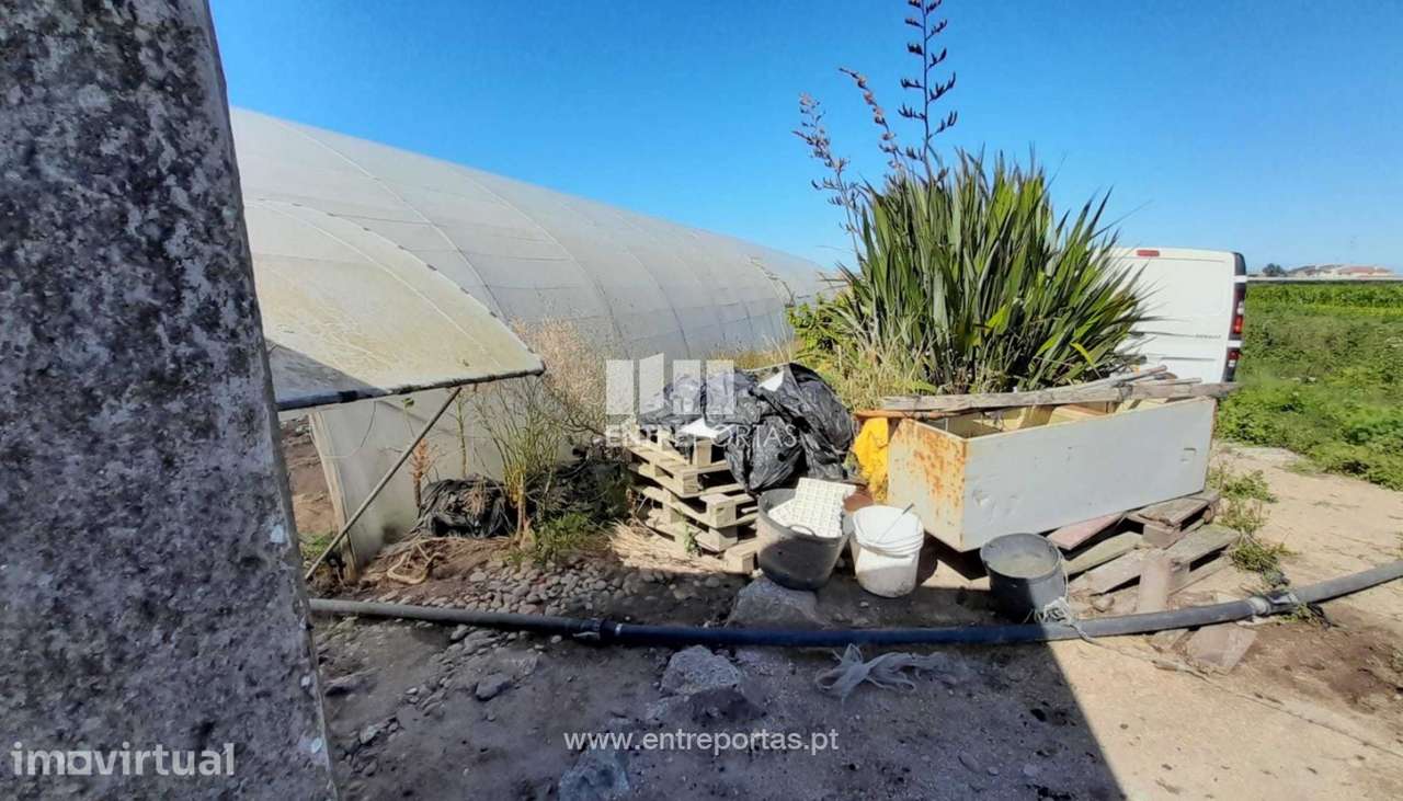 Venda de Terreno agrícola em Navais, Póvoa de Varzim - Grande imagem: 2/5