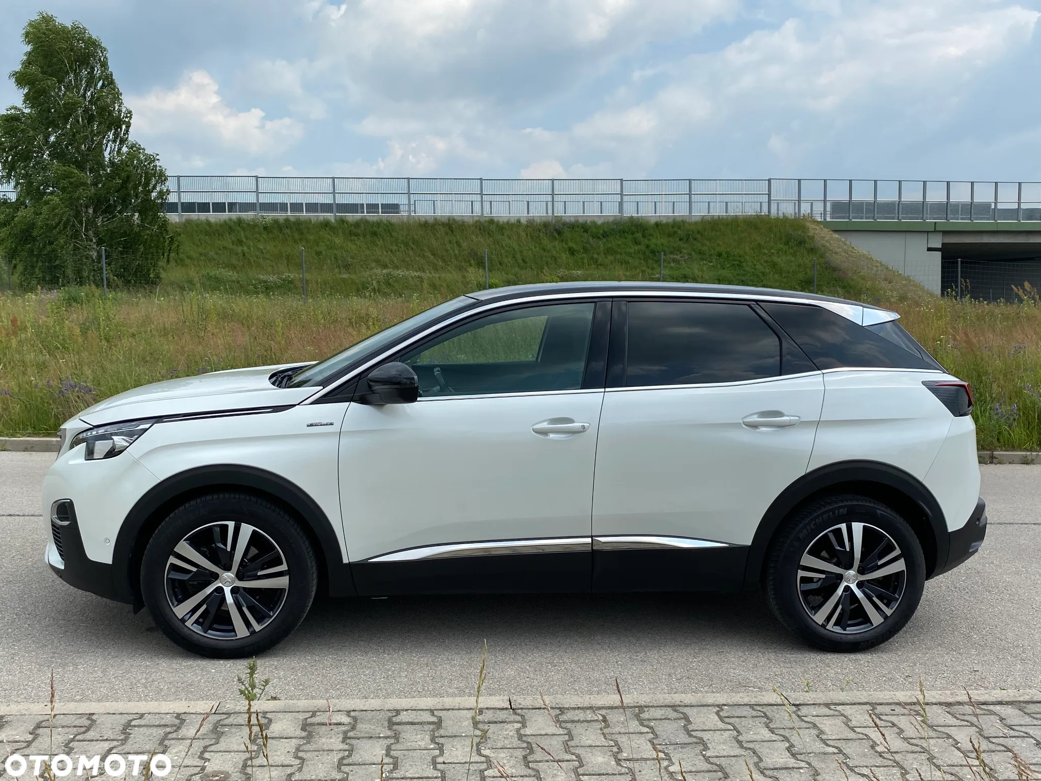 Peugeot 3008 1.5 BlueHDi GT S&S - 6