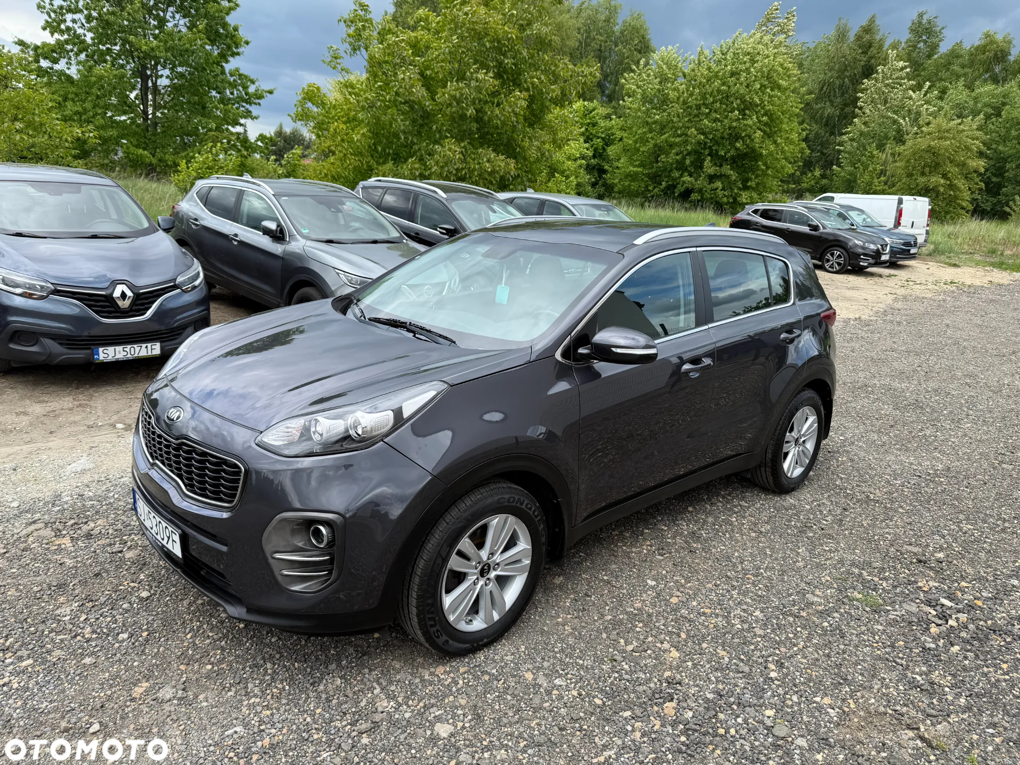 Kia Sportage 1.6 GDI L Business Line 2WD - 2