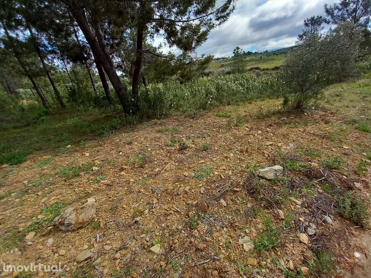 Terreno Rustico Ninho do Açor - Grande imagem: 4/19