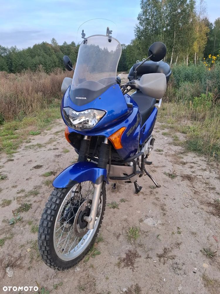 Honda Transalp - 7