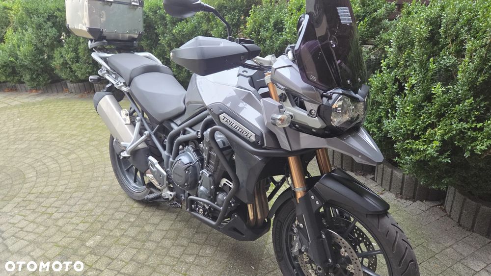 Triumph Tiger - 15
