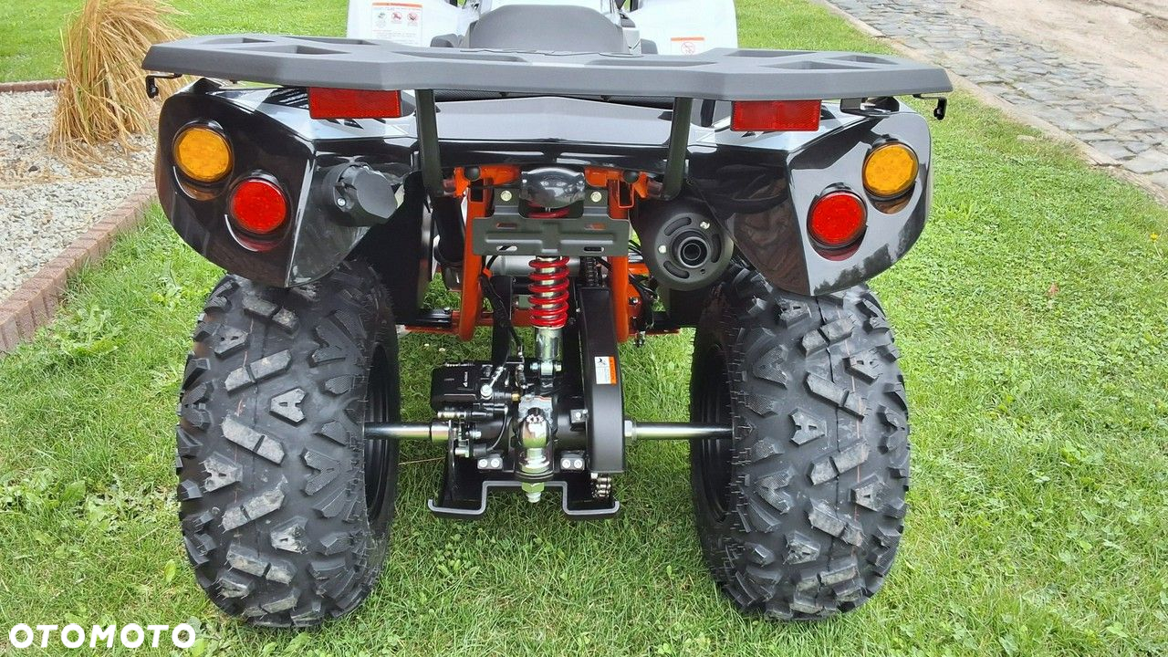 KAYO AU - 12