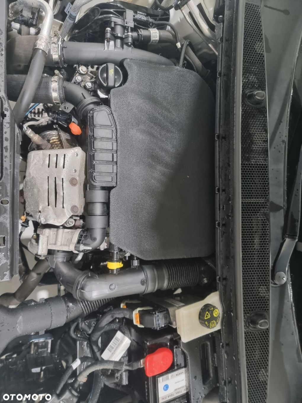 Peugeot 308 - 16