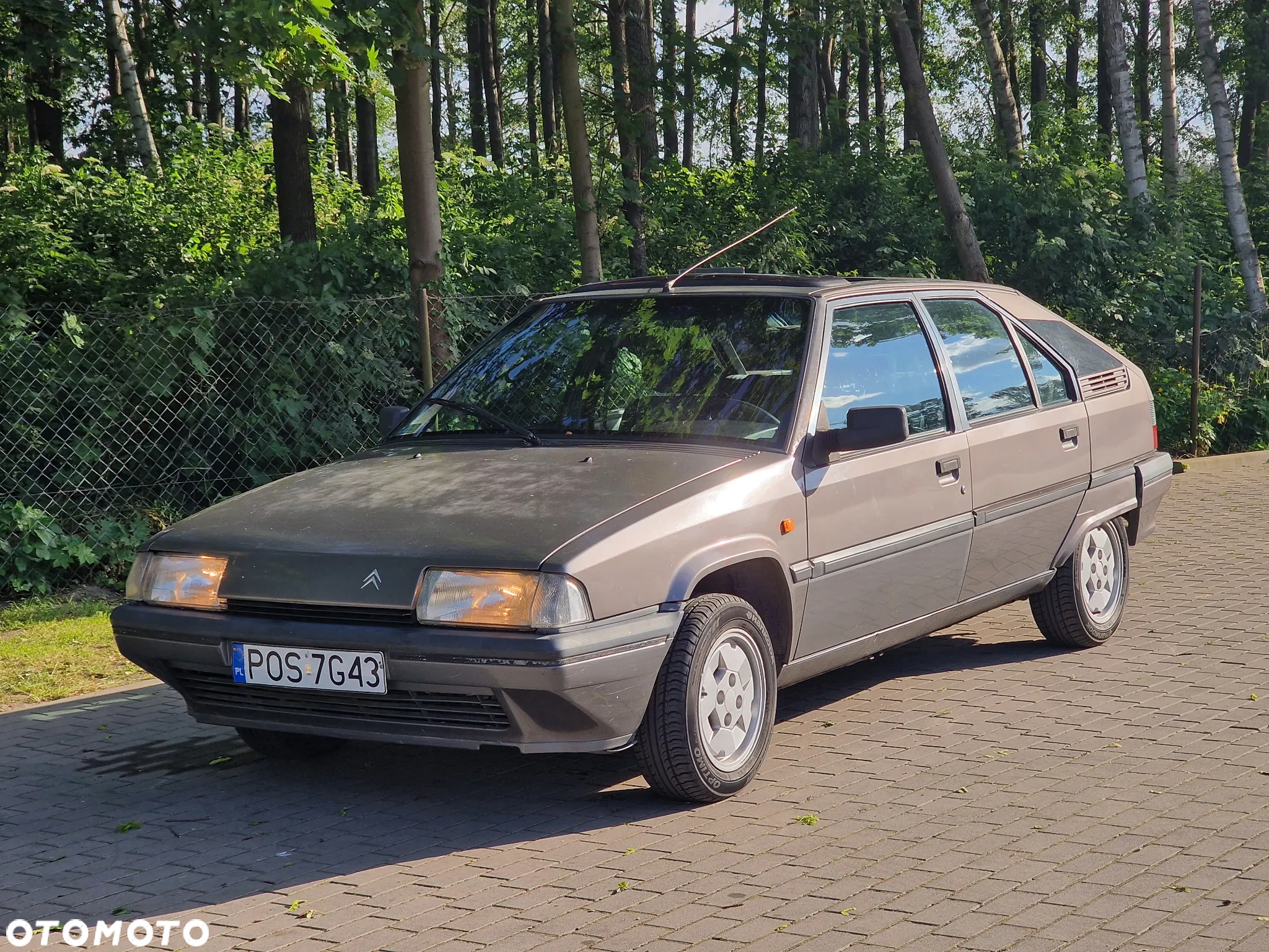 Citroën BX 17 TZD Turbo Tecnic TD 66 - 3