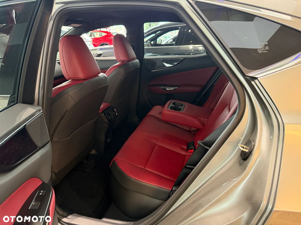 Lexus NX - 6