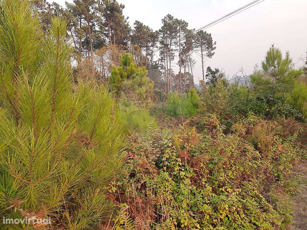 Terreno  para venda - Grande imagem: 5/7