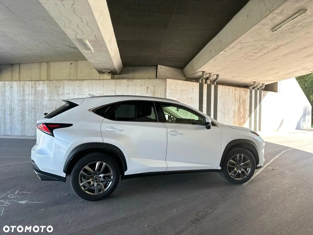Lexus NX - 13