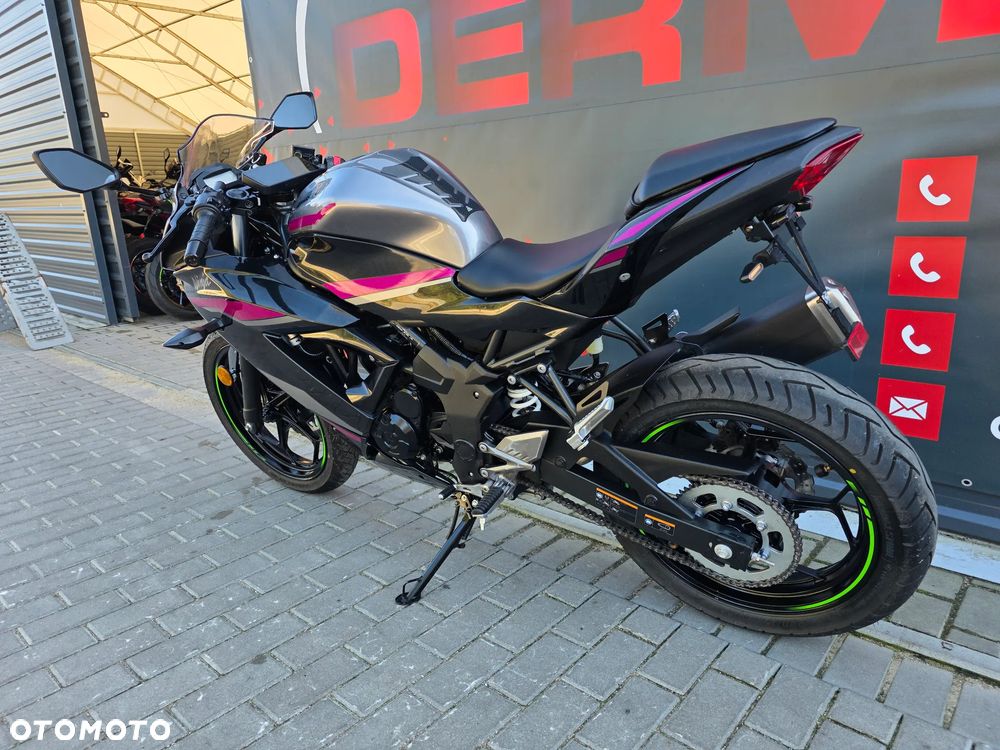 Kawasaki Ninja - 6