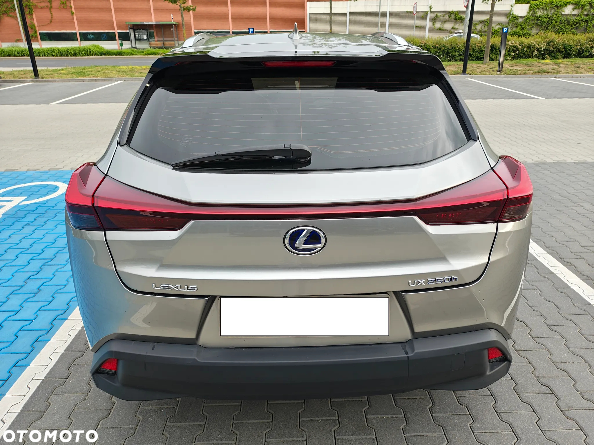 Lexus UX 250h GPF Business Edition 2WD - 2