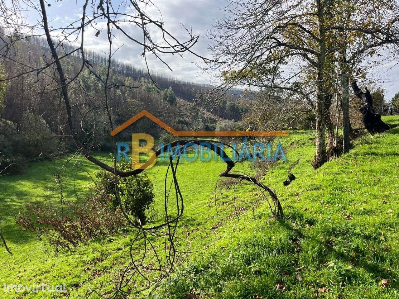 Quinta "Casa do Afonso" em Várzeas - Alvarenga - Grande imagem: 5/19